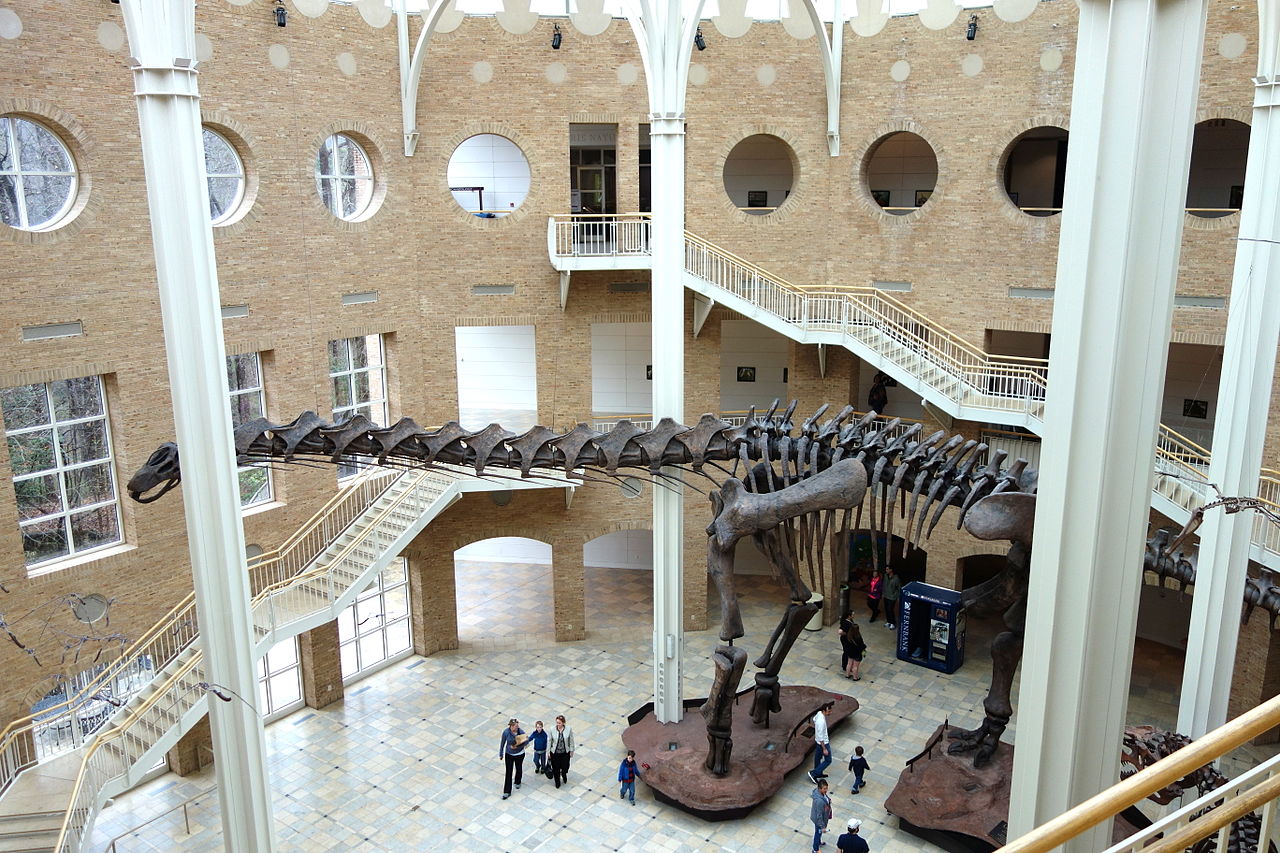 Muzeul de Istorie Naturala Fernbank din Atlanta