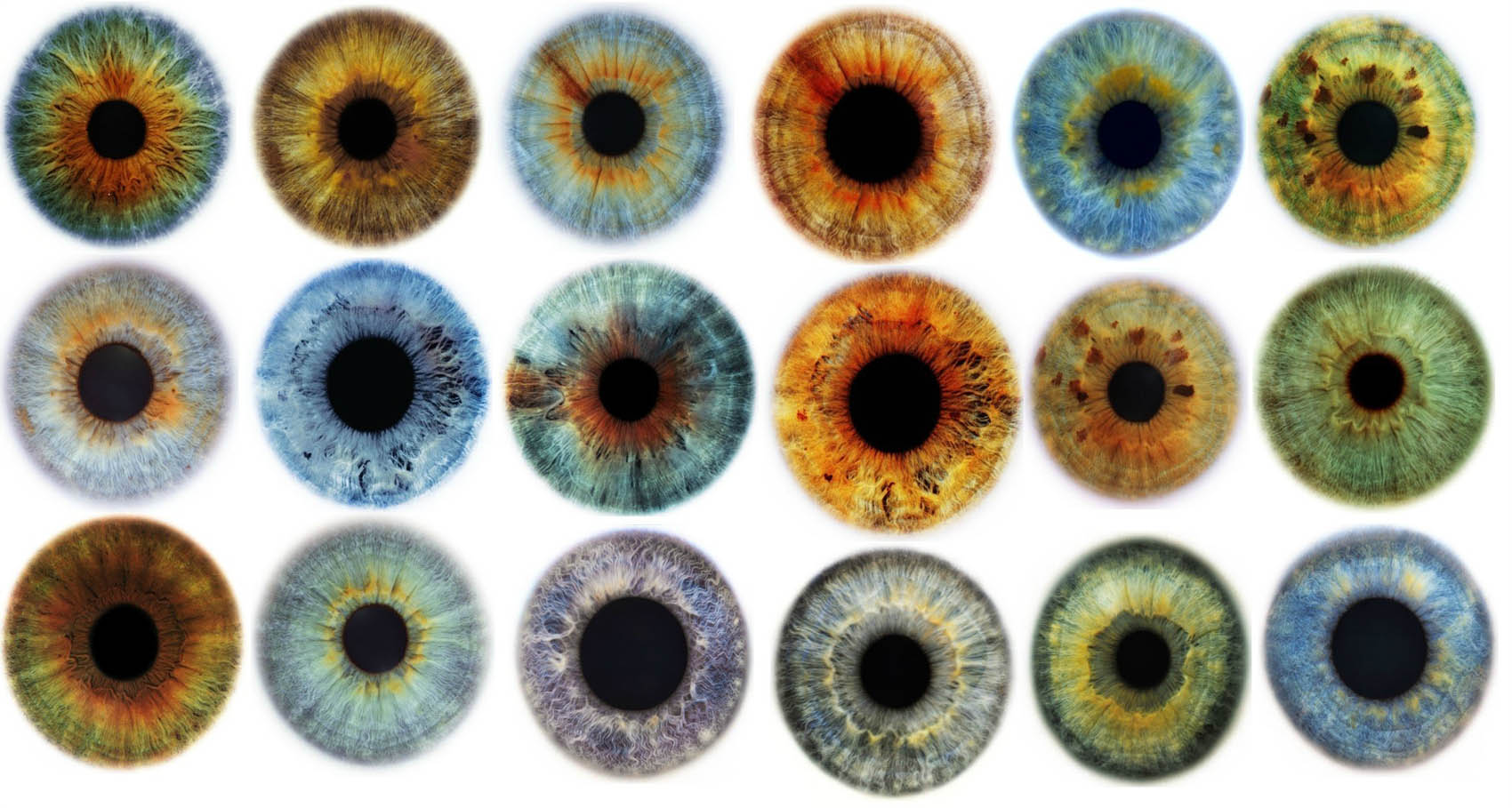 Culoarea Ochilor Si Alte Secrete Ale Irisului Deștepți Ro