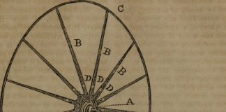 Cine a inventat roata? Roata