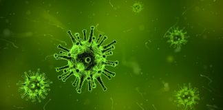 Pandoravirus – cel mai mare virus descoperit pana in prezent Virus