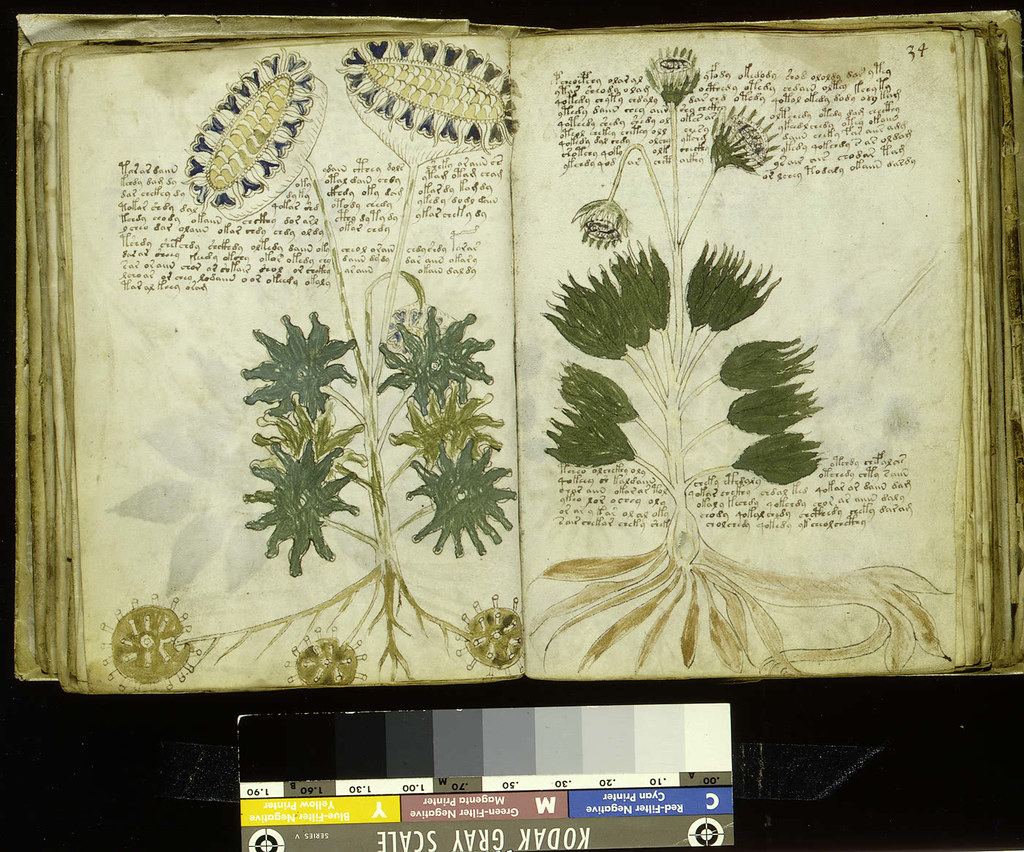 Voynich manuscris11