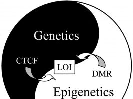 epigenetics