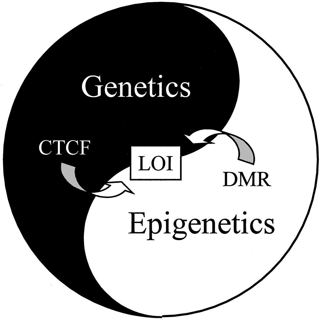 epigenetics