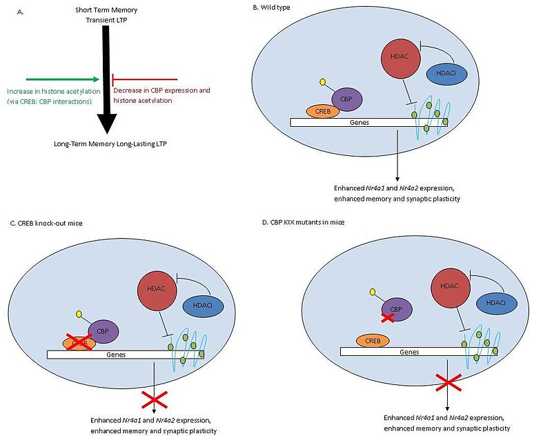 epigenetics111