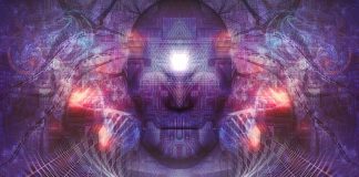 Glanda pineala (“Al treilea ochi”) – intre stiinta si ezoterism glanda pineala