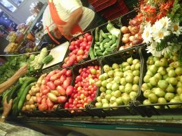 Alimente bio