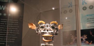 Bacterii transformate in “calculatoare” Bacterii transformate in “calculatoare”