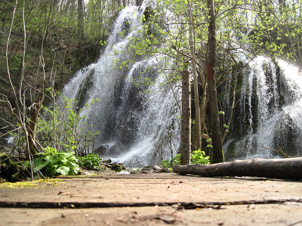 Cascada Beusnita