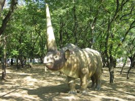 Elasmotherium, specie de rinocer care a trăit în Pliocen