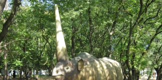 Elasmotherium, specie de rinocer care a trăit în Pliocen