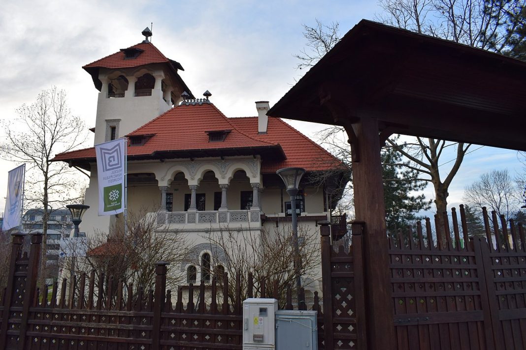 Muzeul de Arta Populara Prof. Dr. Nicolae Minovici1