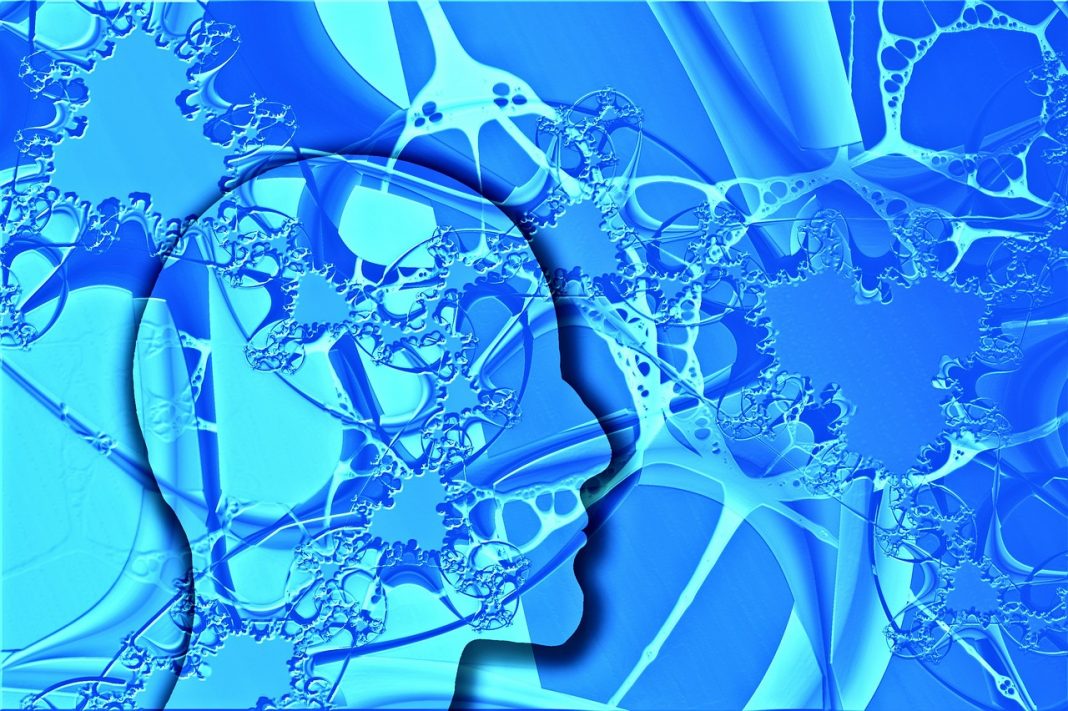 Neuronii Neuronii
