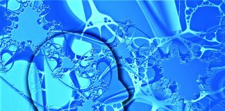 Neuronii si imbatranirea – descoperiri recente Neuronii