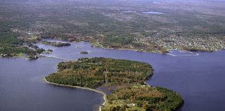 OAK ISLAND