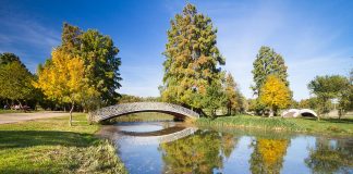 Parcul Tineretului