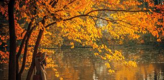 Places to visit in Romania