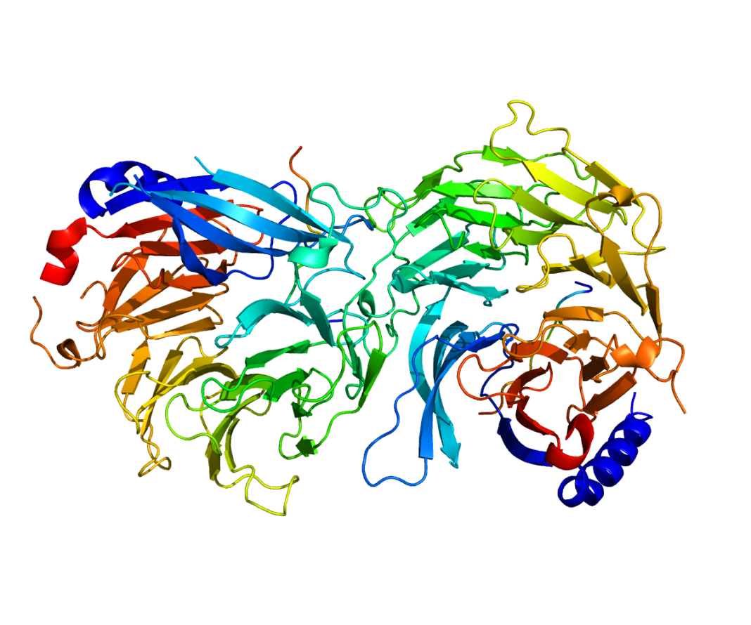 Proteina cu rol cheie in fuctionarea creierului Proteina cu rol cheie in fuctionarea creierului