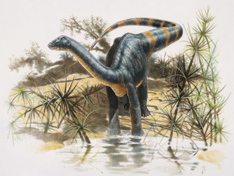 Titanosaurus dacus, Foto: allposters.co.jp