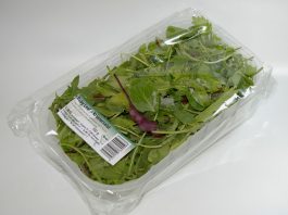 Bioplastic pe baza de materie prima vegetala