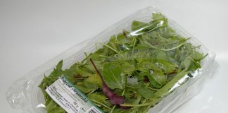 Bioplastic pe baza de materie prima vegetala Bioplastic pe baza de materie prima vegetala