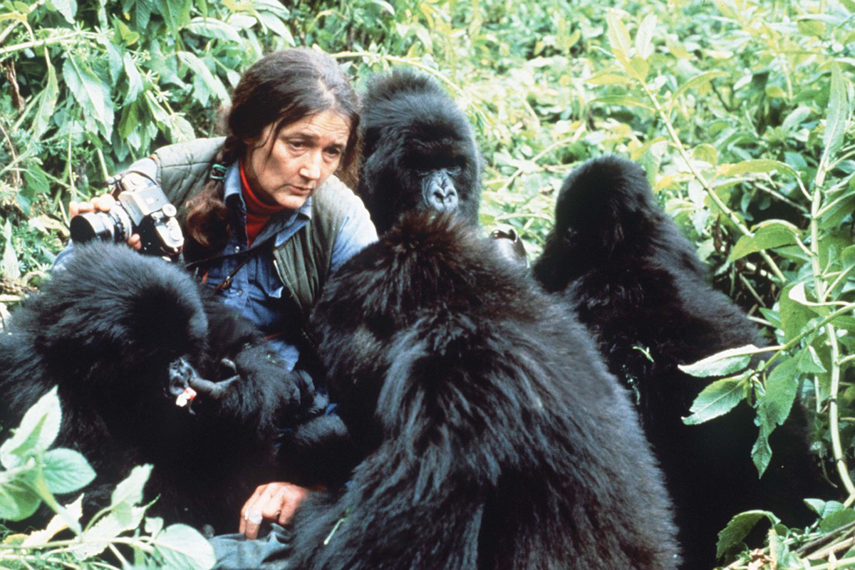 Dian Fossey