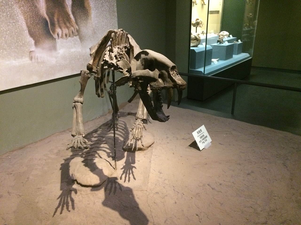 Homotherium