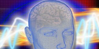 Creierul uman este genial Creierul uman