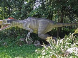 Eotyrannus, stramoșul din Cretacicul inferior al dinozaurului carnivor Tyrannosaurus rex