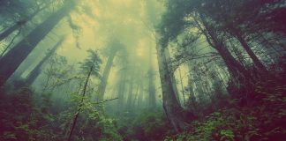 Cele mai mari zece mistere ale lumii Mistere