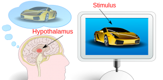 Ce este neuromarketing-ul? Neuromarketing