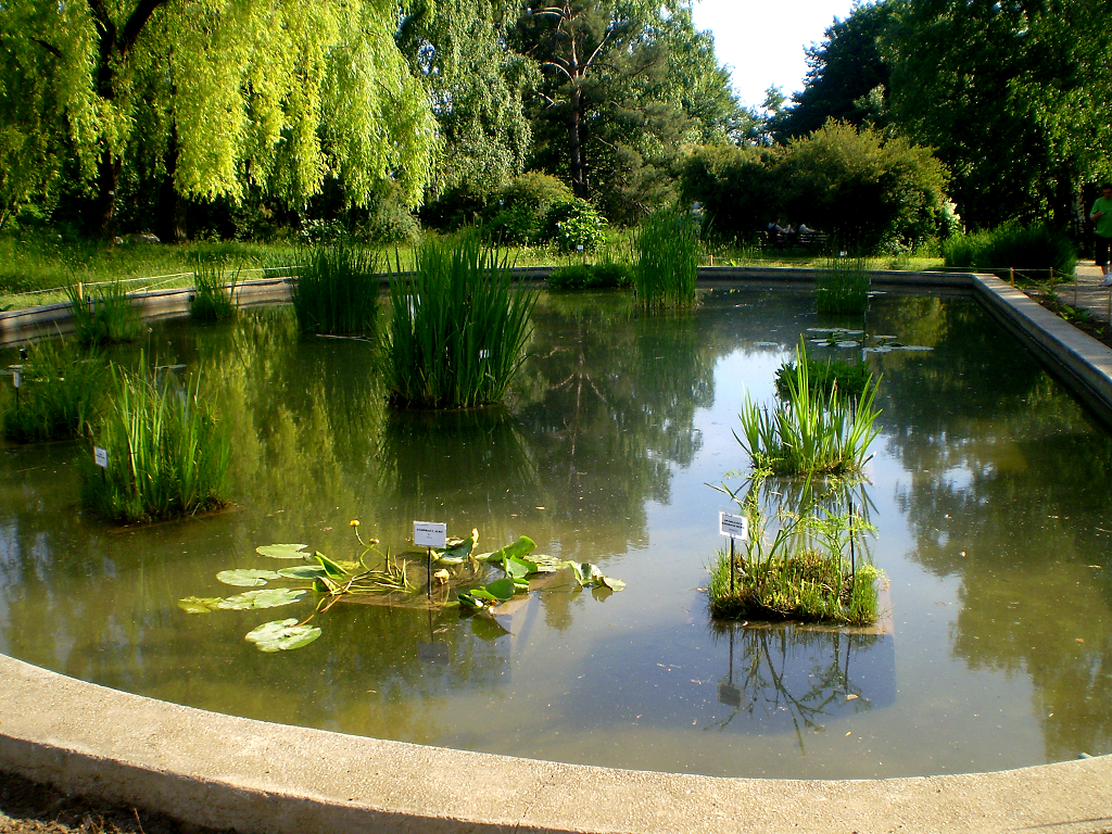 gradina iasi