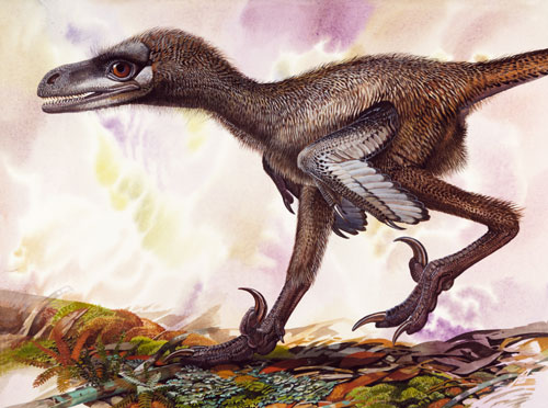 Bambiraptor, Foto: scientificillustration.tumblr.com