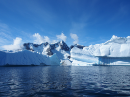 antartica