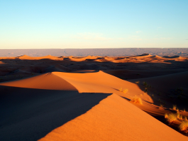 desert maroc
