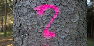 Cum este corect – complet sau cel mai complet, optim sau cel mai optim