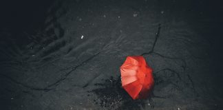 Cand a fost inventata umbrela? Umbrela