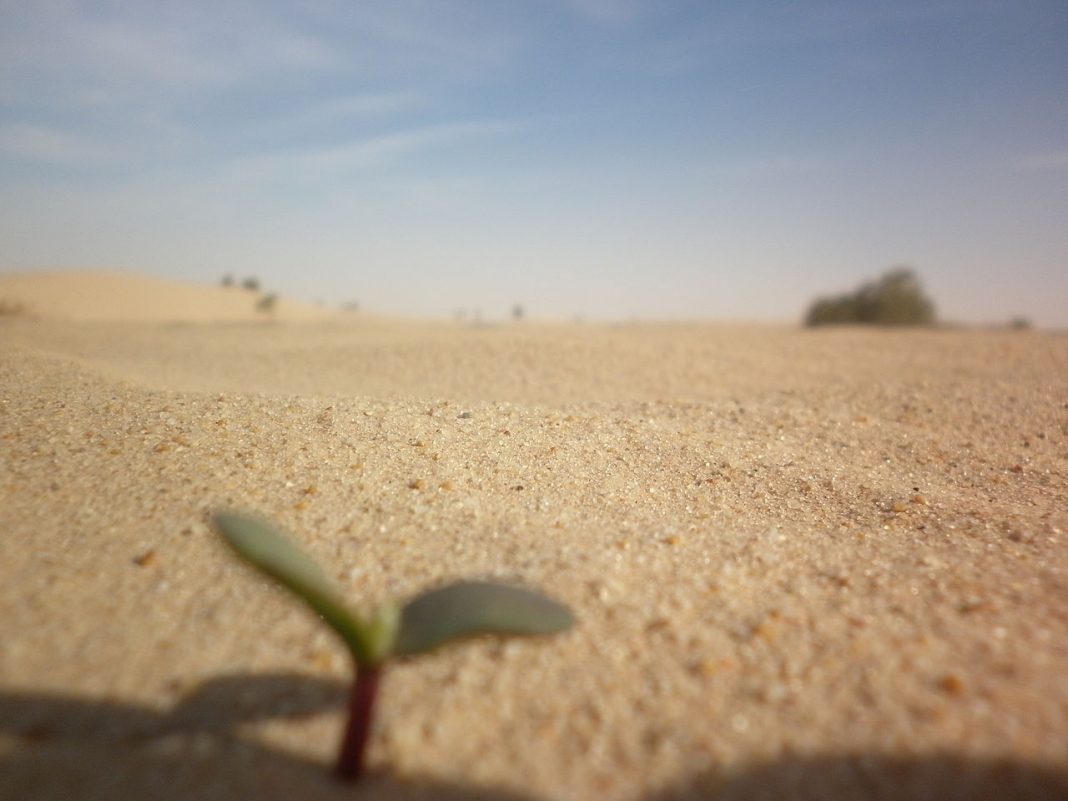 Speranta de viata Speranta de viata