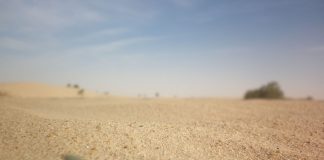 Speranta de viata in diverse regiuni de pe glob Speranta de viata