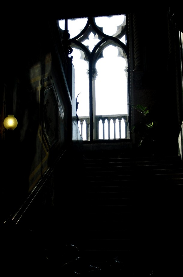 palatul franchetti 8