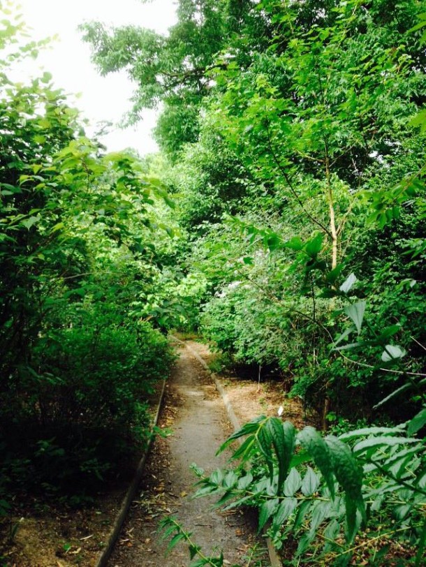 3parc