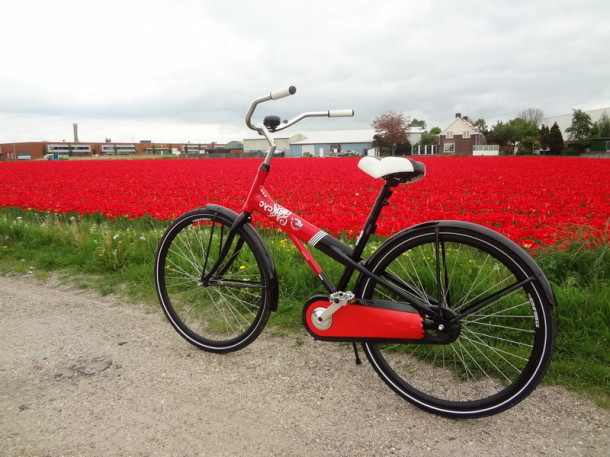biciclete Amsterdam (13)