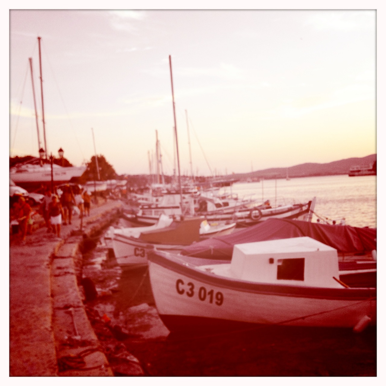 IMG_0502 copy