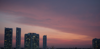 cladiri precum copacii