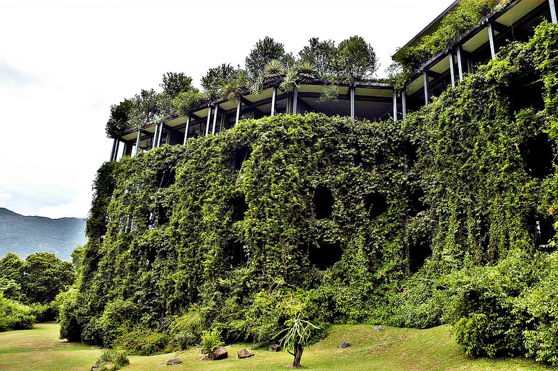 Green-Cliff