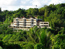 palau hotels