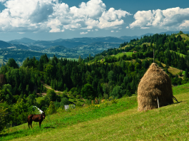 peisaj mioritic in Romania