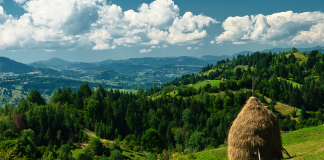 peisaj mioritic in Romania