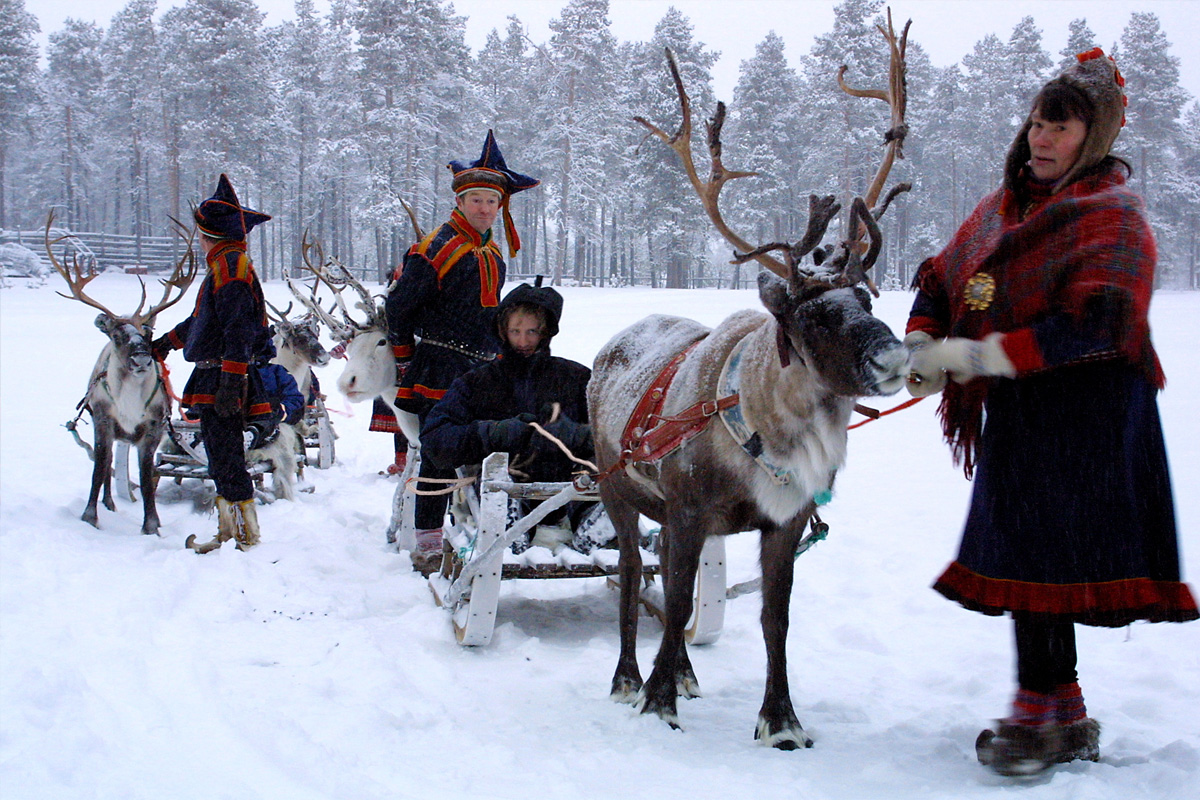 reindeers1_big