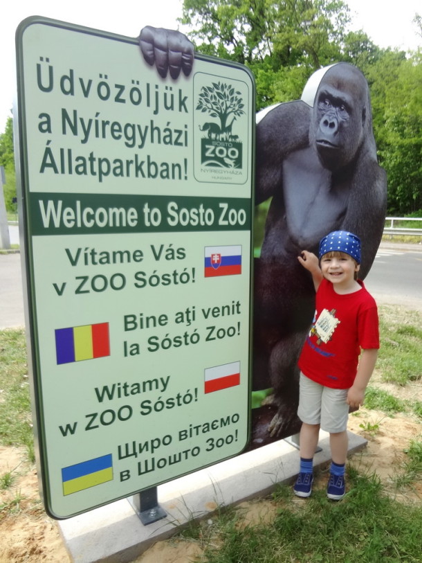 sosto (1)