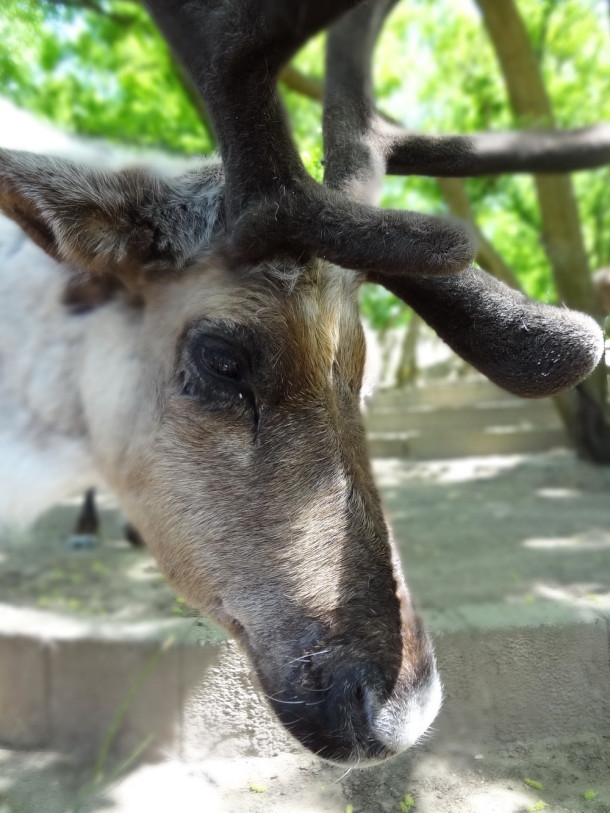 sosto (4)